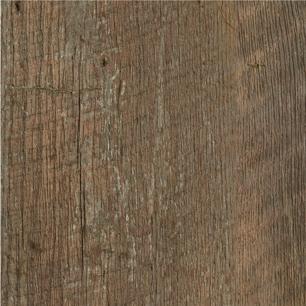 Revived Oak
