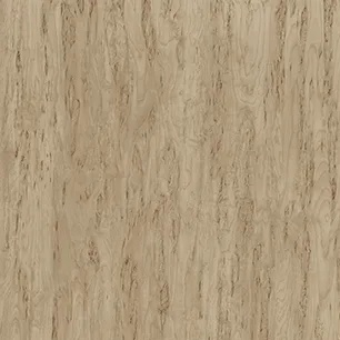 Birdseye Birch