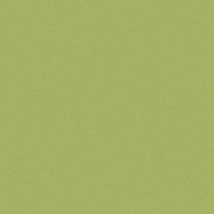 Tomatillo