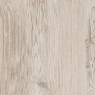 Western White Pine