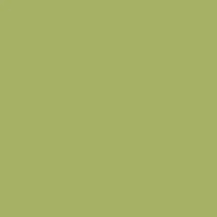 Tomatillo