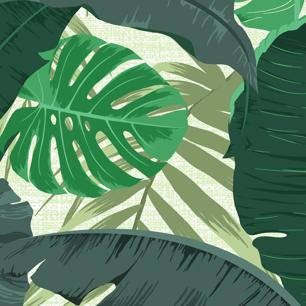 Lush Jungle