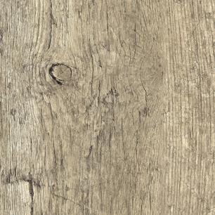 Rediscovered Oak