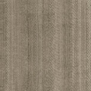 Taupe Incised