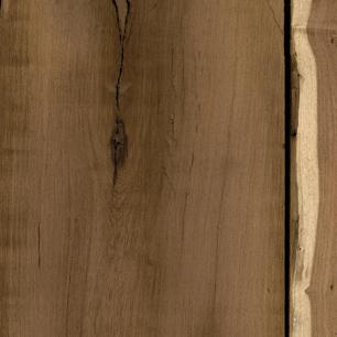 Texas Mesquite