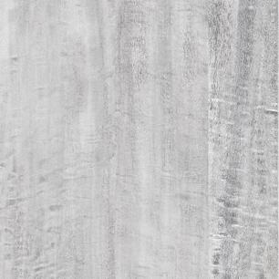 Silver Eucalyptus