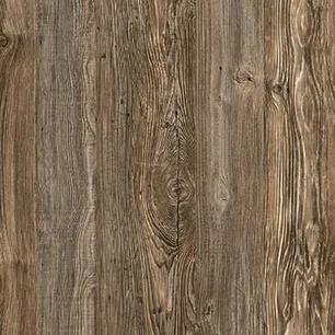 Lost Pine