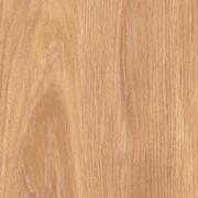 Apricot Alona