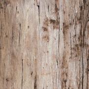 Beach Antique Wood