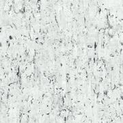 Bone Birch