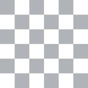 Checkered Slacks