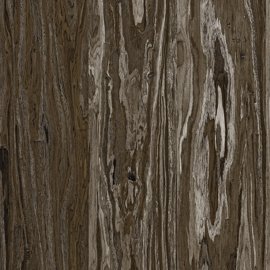 High Pressure Laminate - Nova Scotia Maple - Y0797