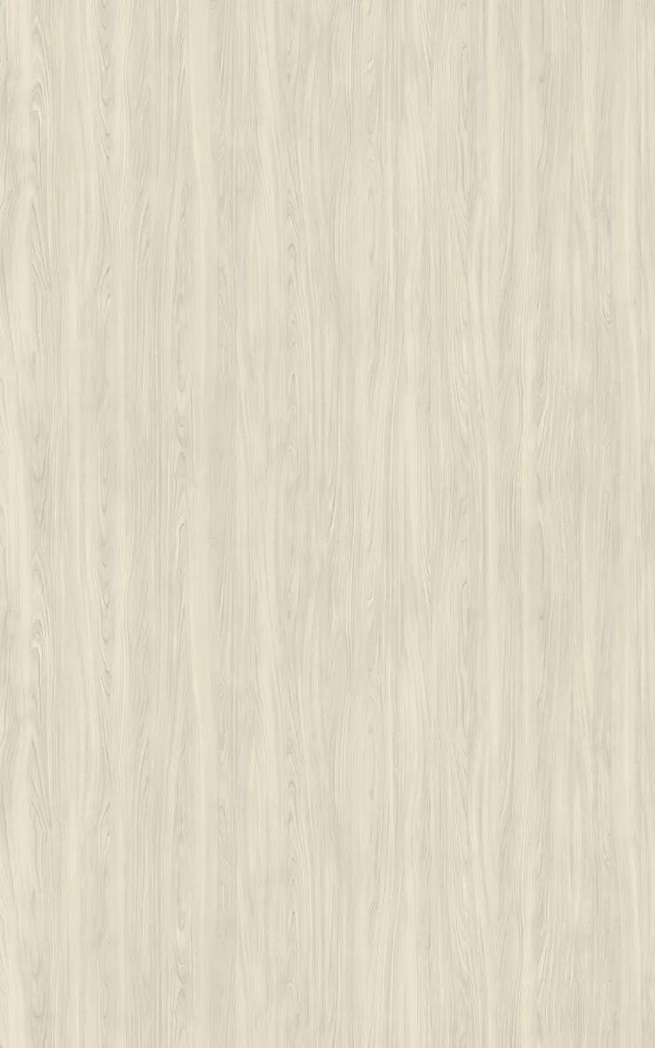 Ivory Birch