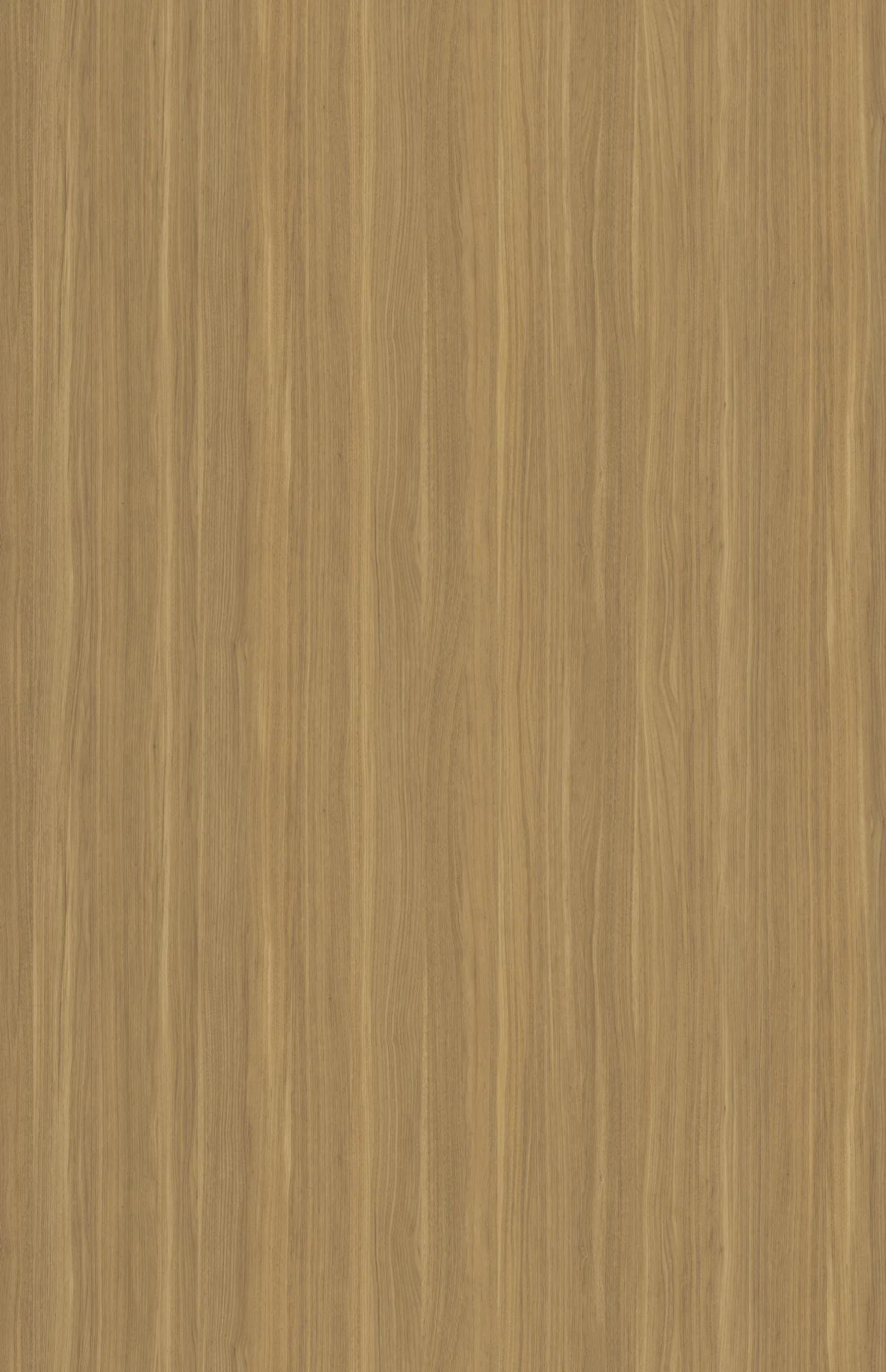Sap Walnut